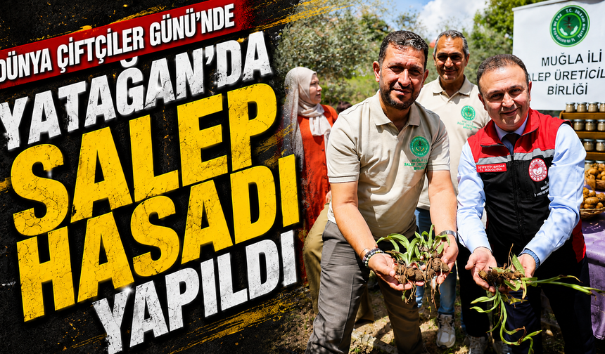 Dünya Çiftçiler Günü’nde Yatağan’da Salep Hasadı Yapıldı