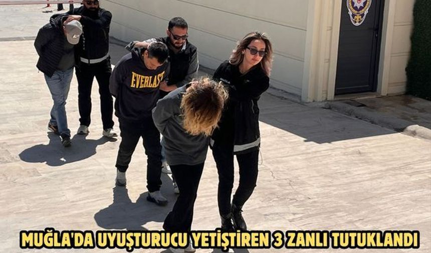 Muğla'da uyuşturucu yetiştiren 3 zanlı tutuklandı