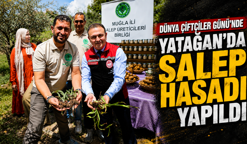 Dünya Çiftçiler Günü’nde Yatağan’da Salep Hasadı Yapıldı