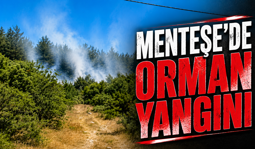 Menteşe'de orman yangını