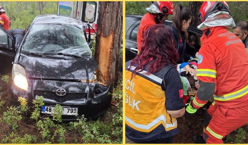 Kontrolden çıkan otomobil ormanlık alana uçtu: 1 yaralı
