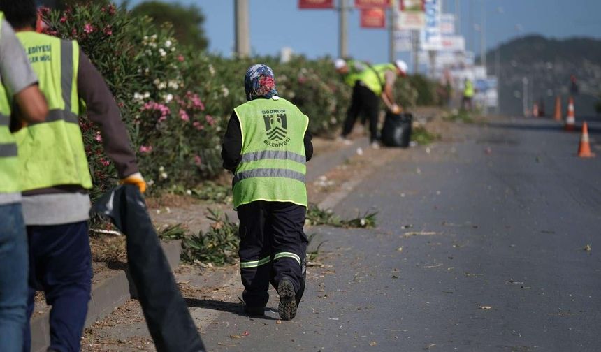 BODRUM’DA OT TEMİZLİĞİ ÇALIŞMALARI TÜM HIZIYLA DEVAM EDİYOR