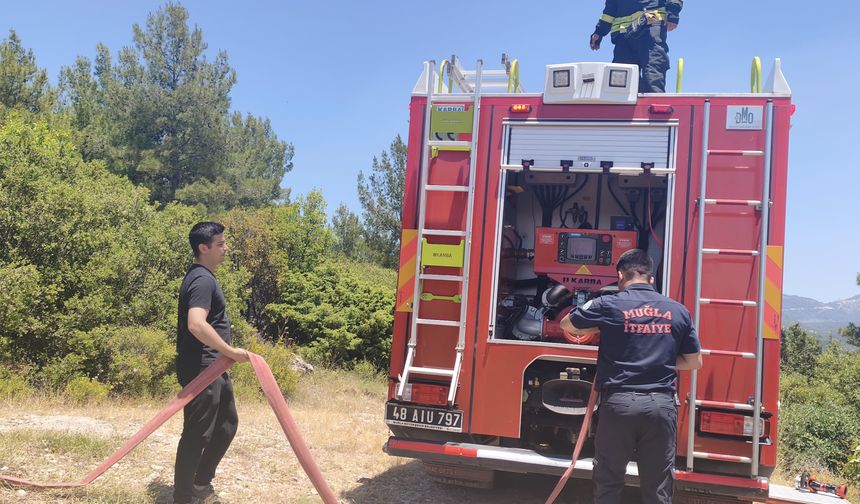 Muğla'da orman yangını ekiplerin hızlı müdahalesi ile söndürüldü