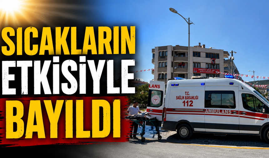 Sıcakların Etkisiyle Bayıldı