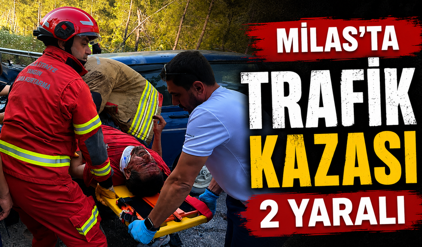Milas’ta trafik kazası: 2 yaralı