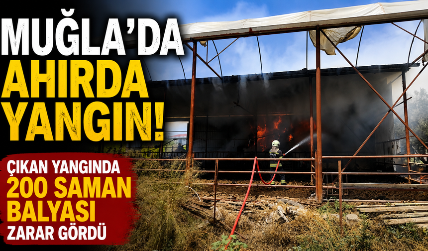 Muğla'da ahırda çıkan yangında 200 saman balyası zarar gördü