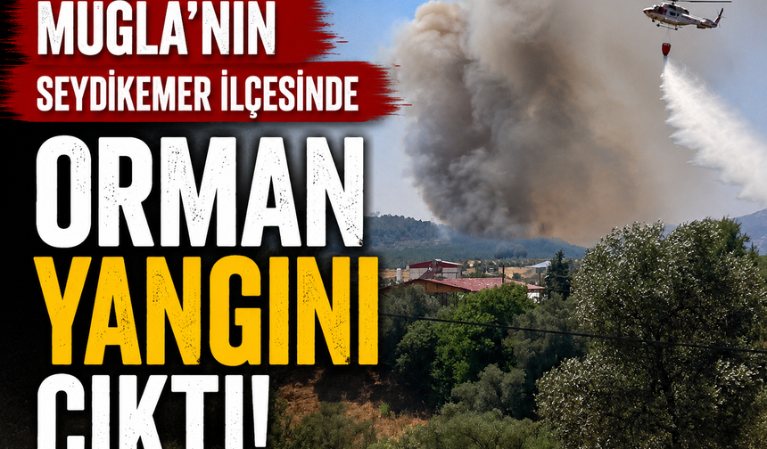 Muğla'nın Seydikemer ilçesinde orman yangını çıktı