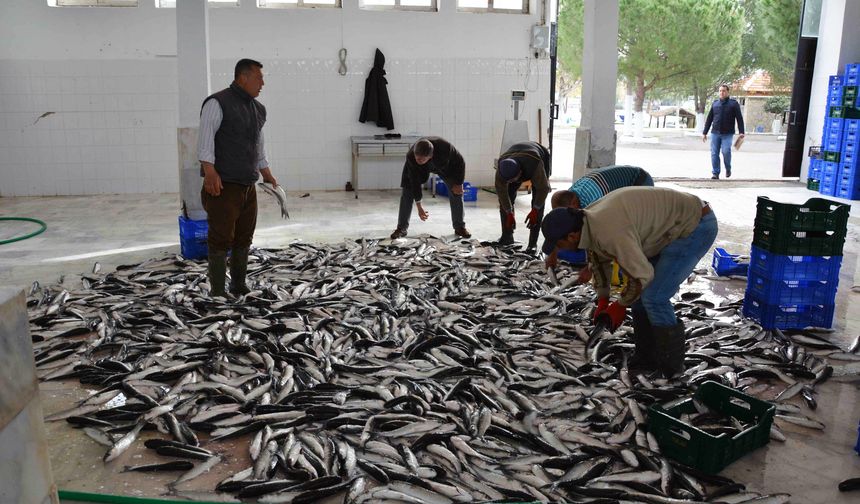 Muğla mayıs ayında 71 milyon 870 bin TL dış ticaret fazlası verdi