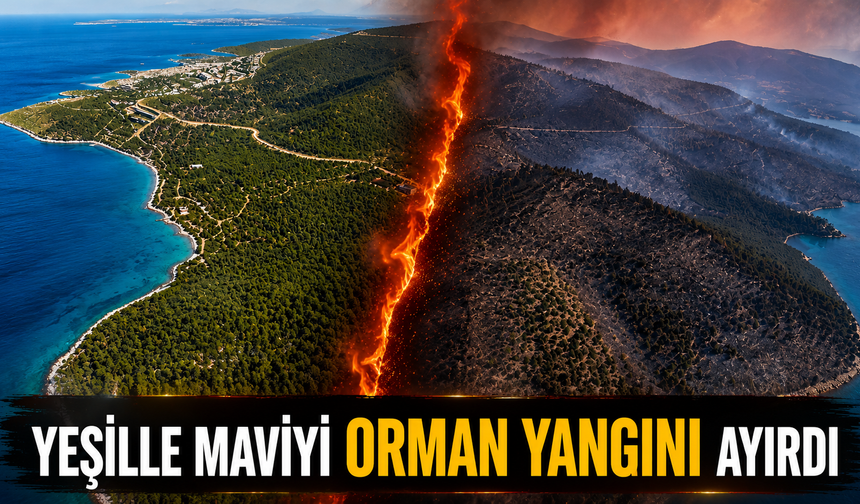 Yeşille maviyi orman yangını ayırdı