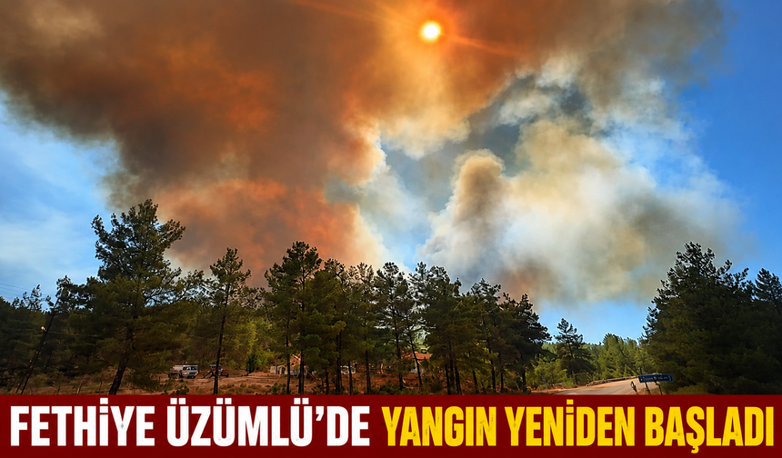 Fethiye Üzümlü’de yangın yeniden başladı