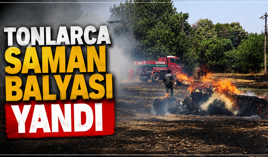Tonlarca saman balyası yandı
