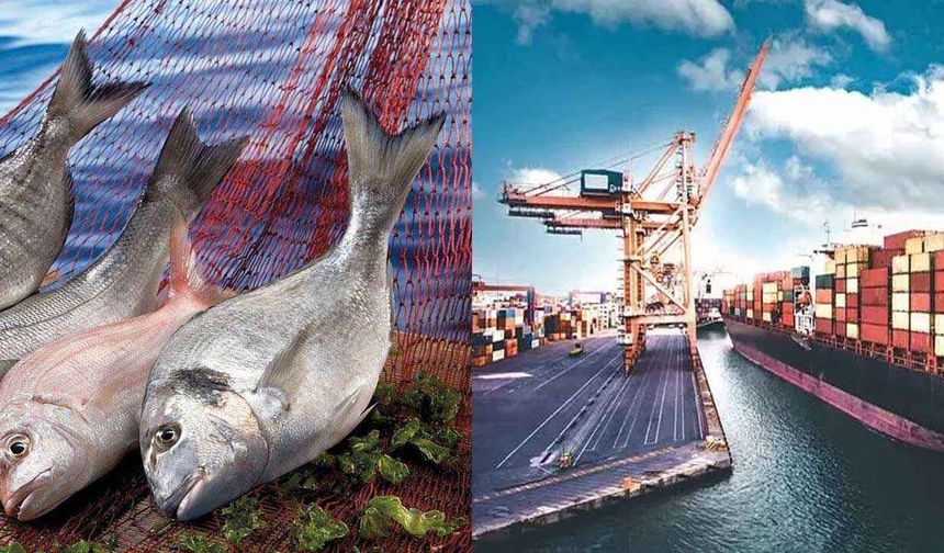 Muğla'nın su ürünleri ihracatı ilk yarıda 422 milyon dolara ulaştı