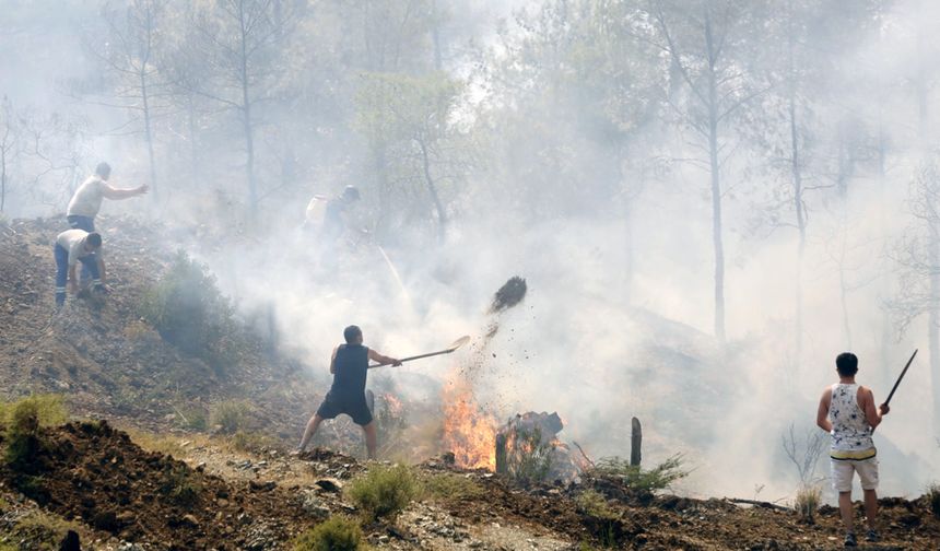 Her şey 'Yeşil Vatan'ın tek bir ağacını kurtarmak için