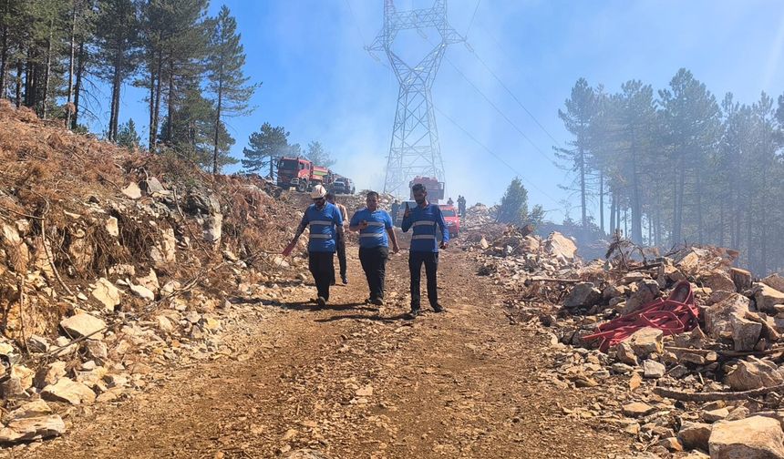 Menteşe Yılanlı yangını kontrol altına alındı
