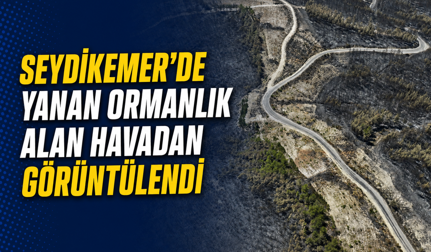 Seydikemer'de yanan ormanlık alan havadan görüntülendi