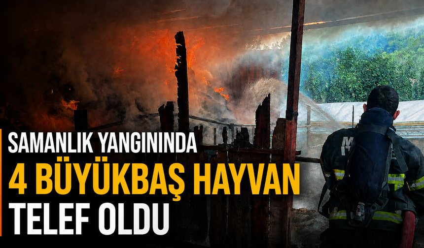 Samanlık yangınında 4 büyükbaş hayvan telef oldu