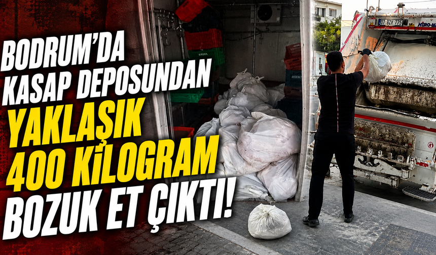 Bodrum'da kasap deposundan yaklaşık 400 kilogram bozuk et çıktı