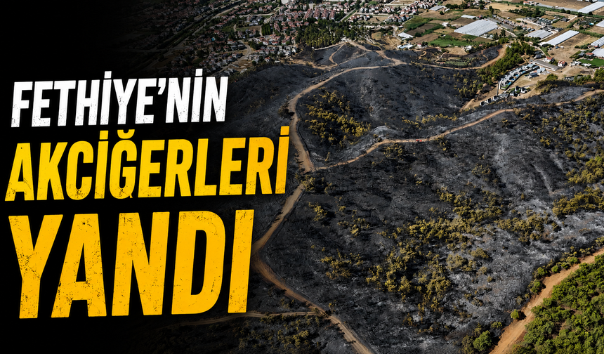 Fethiye’nin akciğerleri yandı