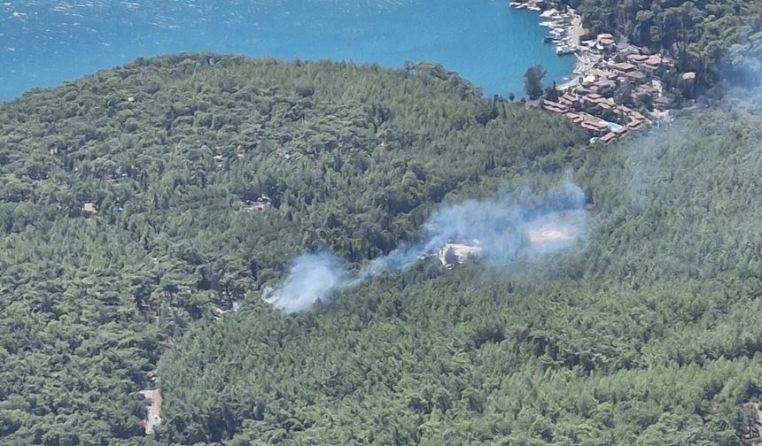 Muğla'da çıkan orman yangını kontrol altına alındı