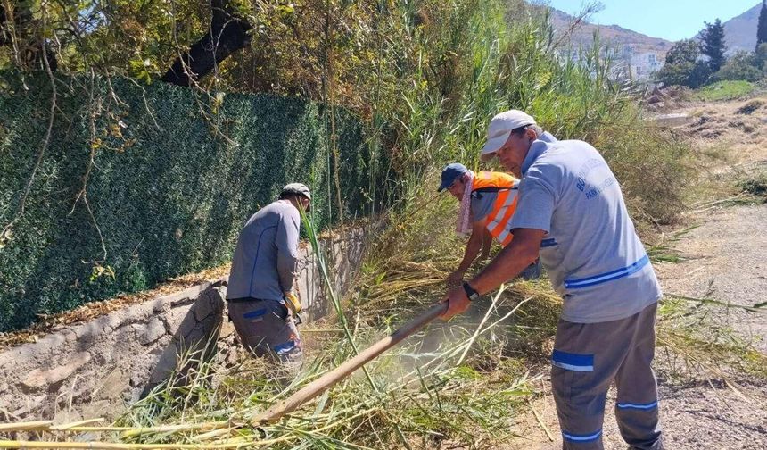 Bodrum’da Ot Temizliği Çalışmaları Devam Ediyor