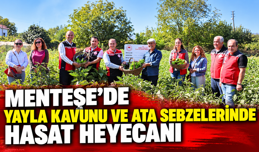 Menteşe’de Yayla Kavunu ve Ata Sebzelerinde Hasat Heyecanı