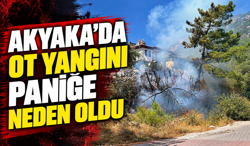 Akyaka’da ot yangını paniğe neden oldu