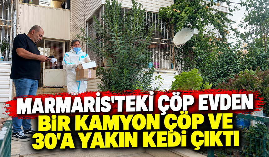 Marmaris'teki çöp evden bir kamyon çöp ve 30'a yakın kedi çıktı