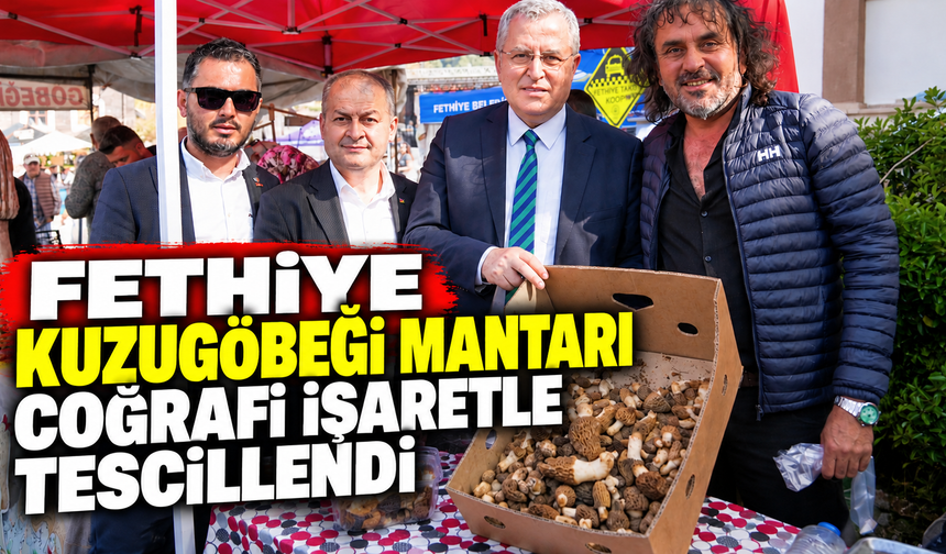Fethiye kuzugöbeği mantarı coğrafi işaretle tescillendi