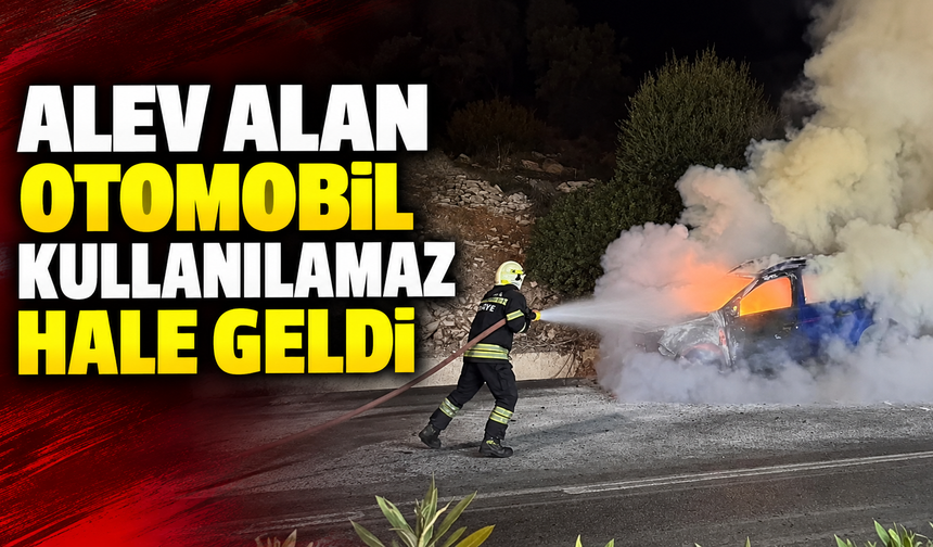 Alev alan otomobil kullanılamaz hale geldi