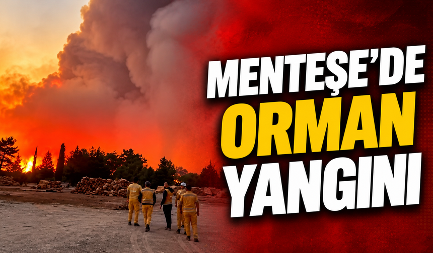 Menteşe’de orman yangını