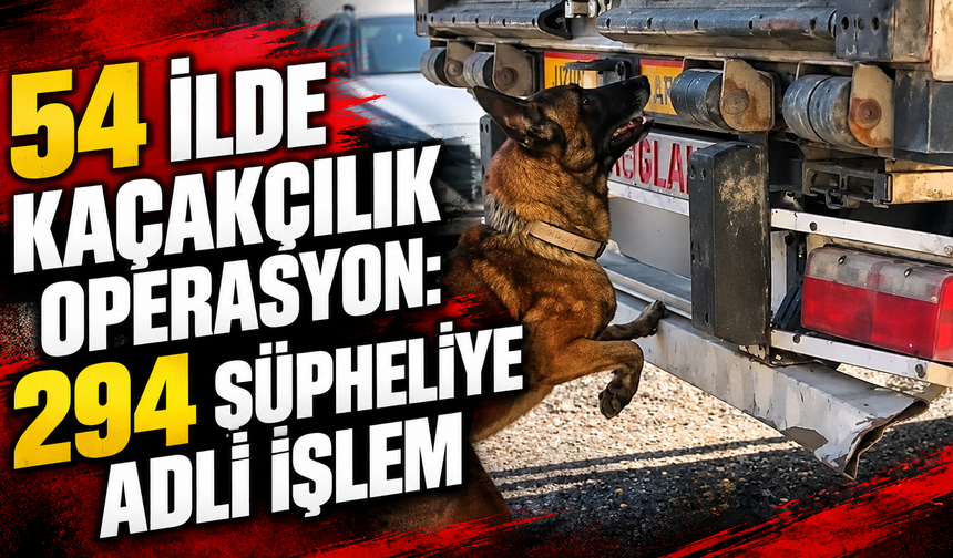 54 ilde kaçakçılık operasyon: 294 şüpheliye adli işlem