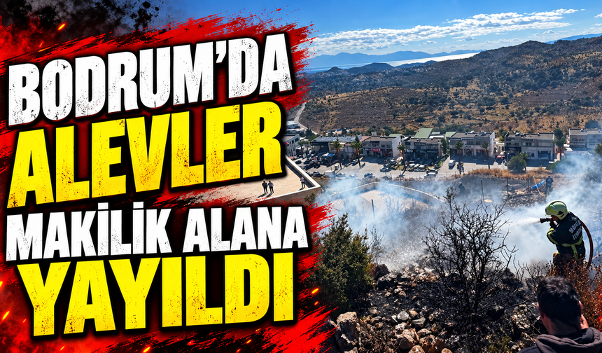 Bodrum’da alevler makilik alana yayıldı