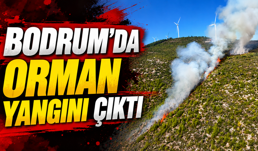 Bodrum’da orman yangını çıktı