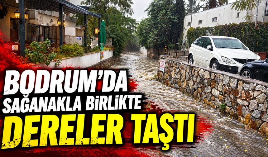 Bodrum'da sağanakla birlikte dereler taştı