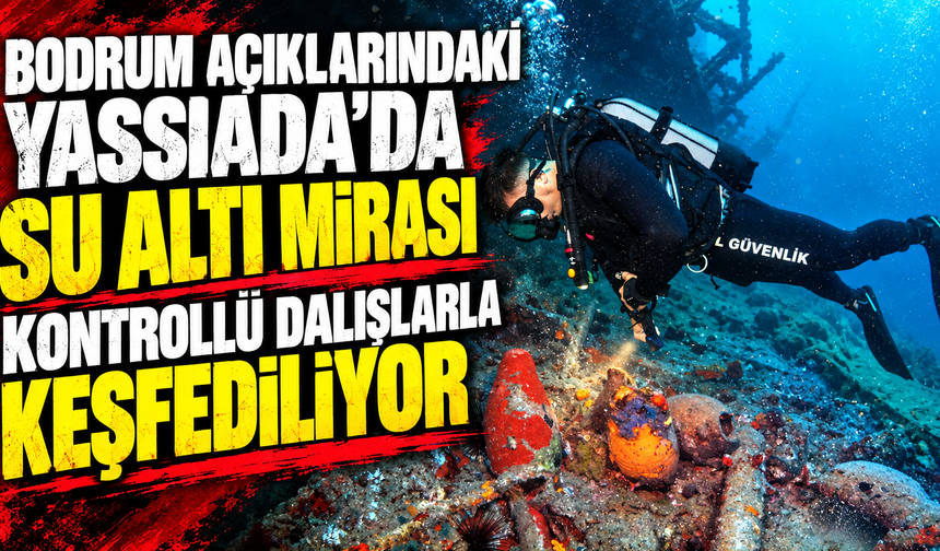Bodrum açıklarındaki Yassıada'da su altı mirası kontrollü dalışlarla keşfediliyor