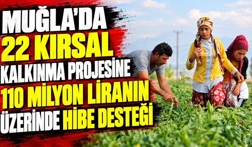 Muğla'da 22 kırsal kalkınma projesine 110 milyon liranın üzerinde hibe desteği