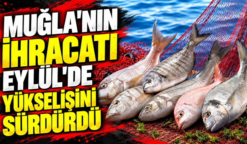 Muğla'nın ihracatı Eylül'de yükselişini sürdürdü