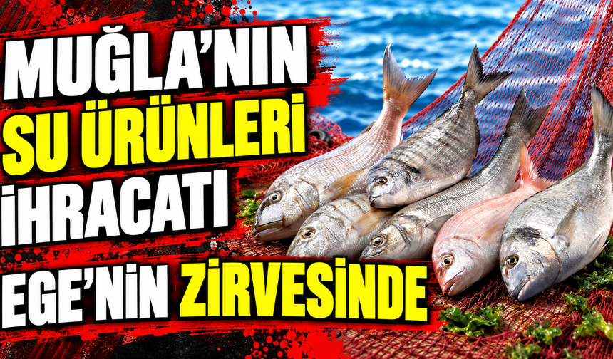 Muğla’nın su ürünleri ihracatı Ege’nin zirvesinde