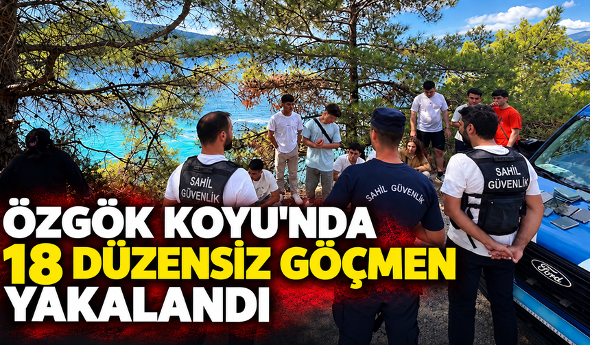 Özgök koyunda 18 düzensiz göçmen yakalandı