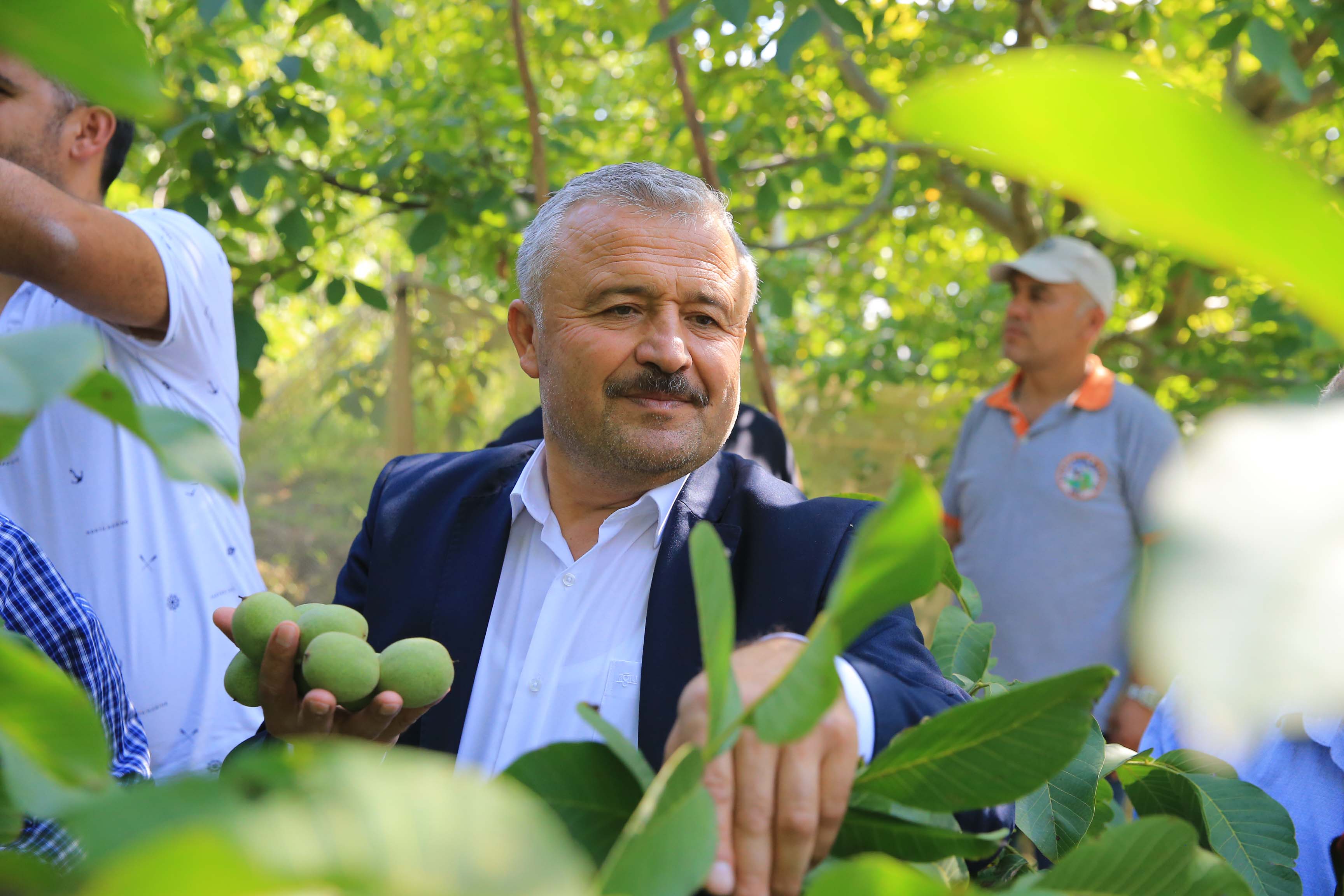 aa-20231010-32363247-32363234-cografi-isaretli-kavaklidere-cevizinde-hasat-basladi.jpg