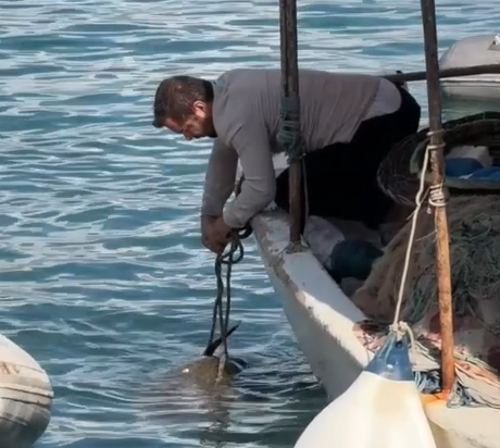 Fethiye'de halata dolanan caretta caretta kurtarıldı